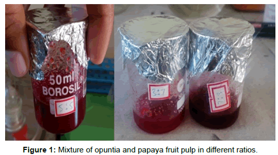 biotechnology-biomaterials-papaya-fruit