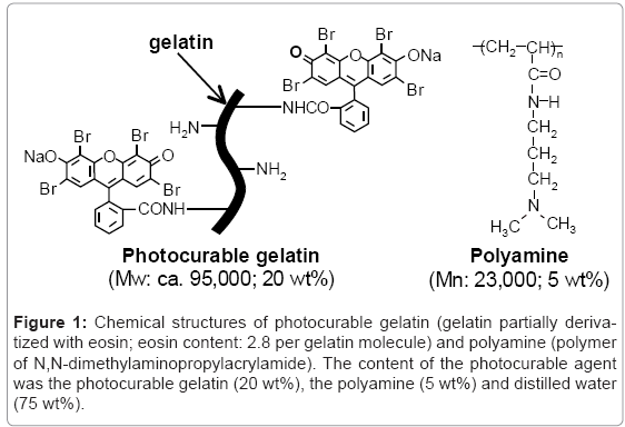biotechnology-biomaterials-photocurable-gelatin