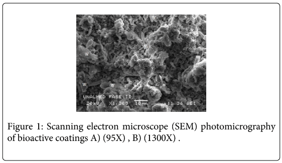 biotechnology-biomaterials-photomicrography