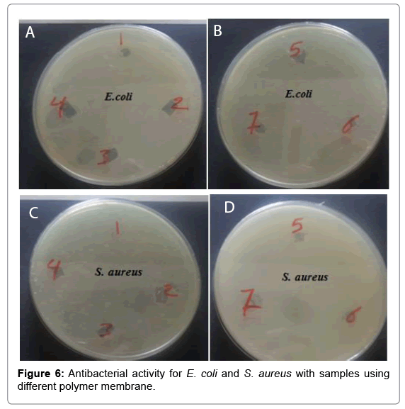 biotechnology-biomaterials-polymer-membrane