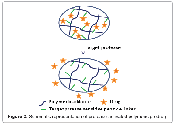 biotechnology-biomaterials-polymeric-prodrug