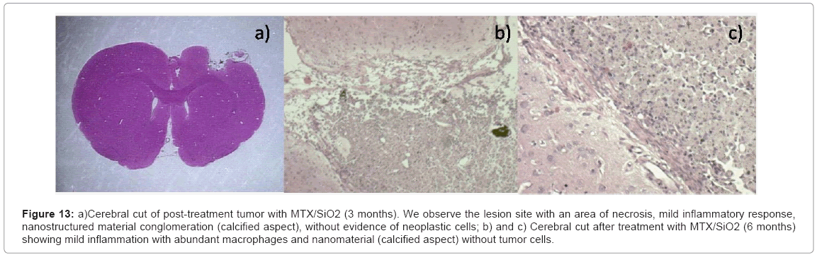 biotechnology-biomaterials-post-treatment