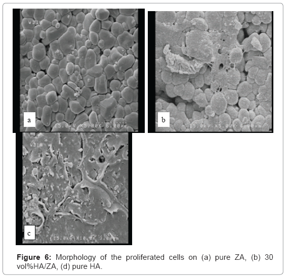 biotechnology-biomaterials-proliferated-cells