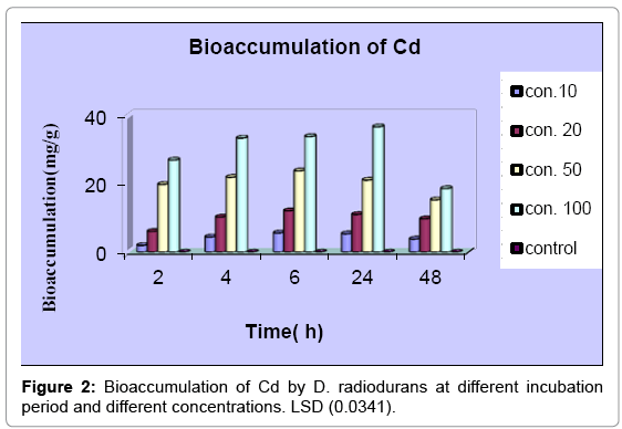 biotechnology-biomaterials-radiodurans