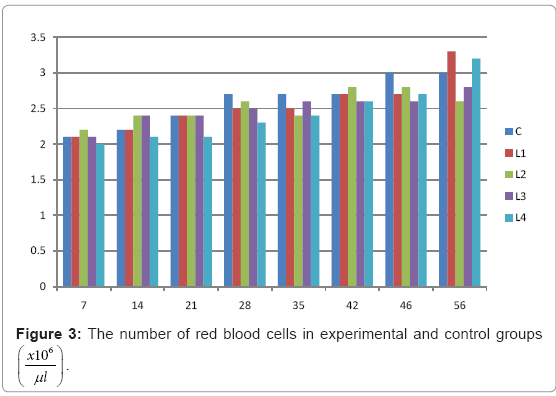 biotechnology-biomaterials-red-blood-cells