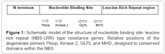 biotechnology-biomaterials-resistance-genes