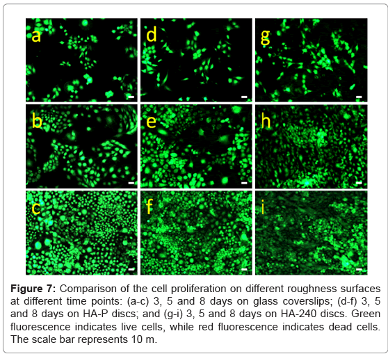biotechnology-biomaterials-roughness-surfaces