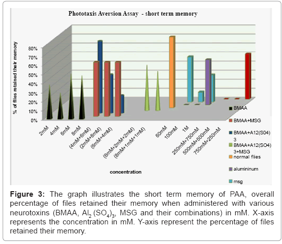biotechnology-biomaterials-short-term-memory