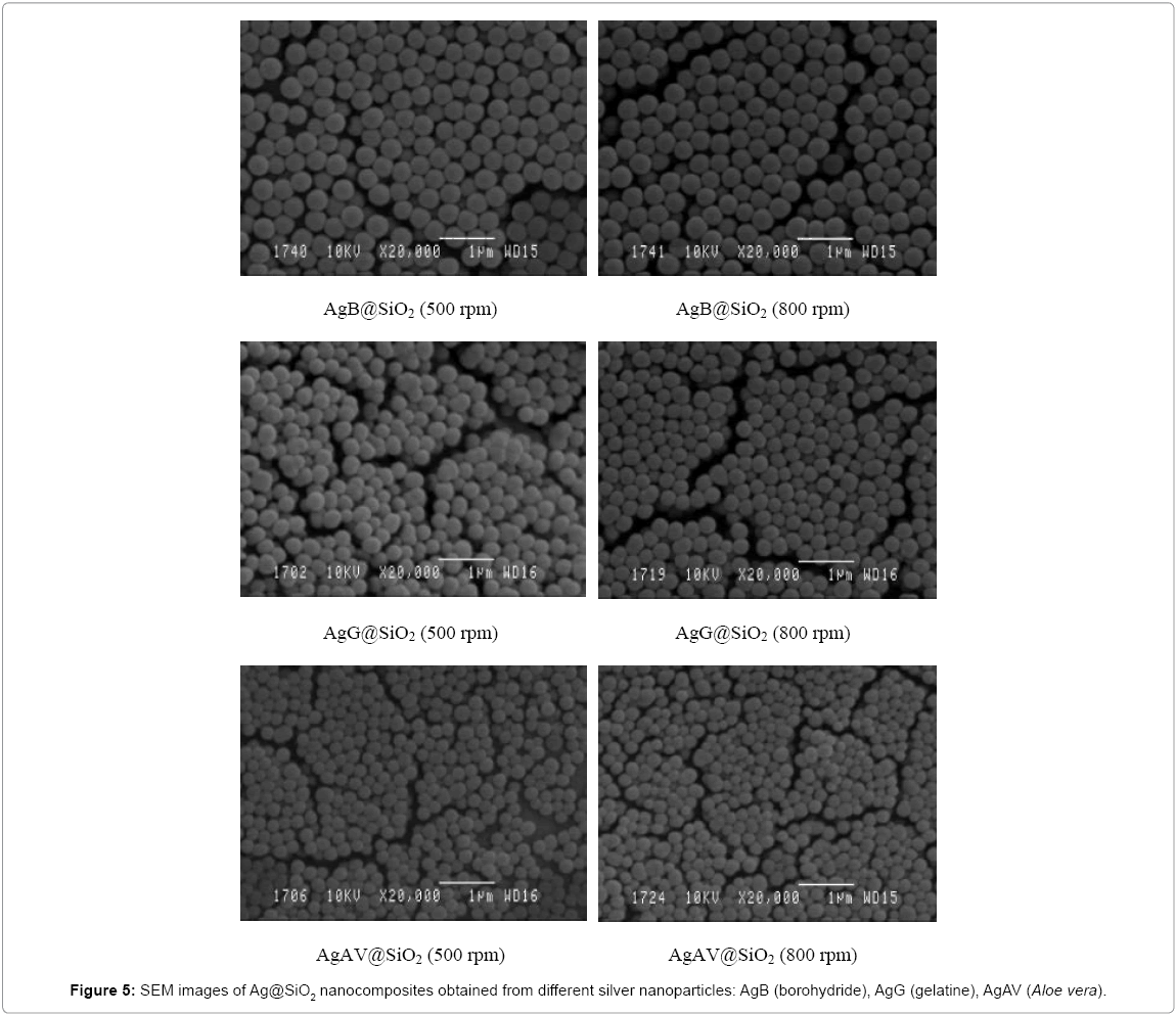biotechnology-biomaterials-silver-nanoparticles