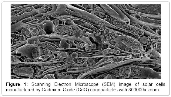 biotechnology-biomaterials-solar-cells