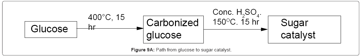 biotechnology-biomaterials-sugar-catalystt