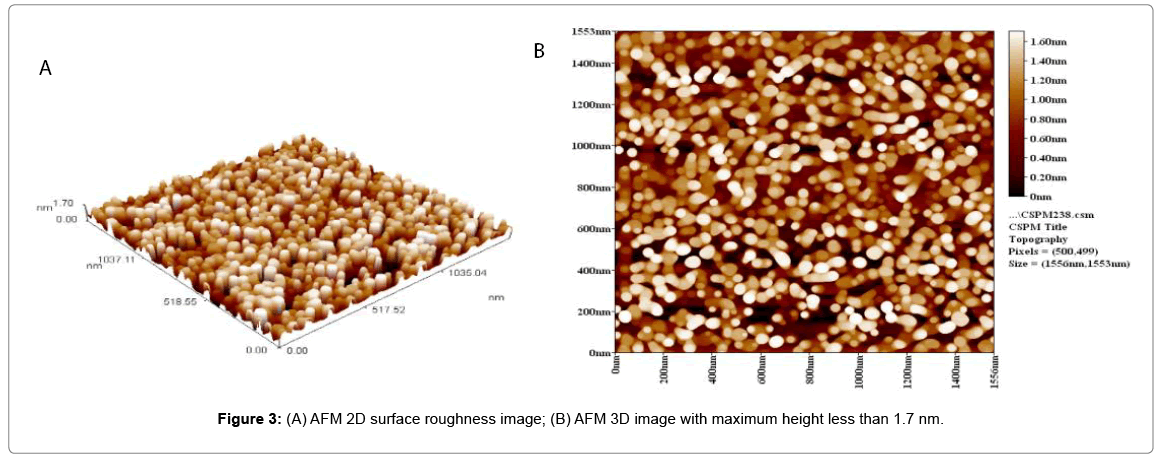 biotechnology-biomaterials-surface-roughness