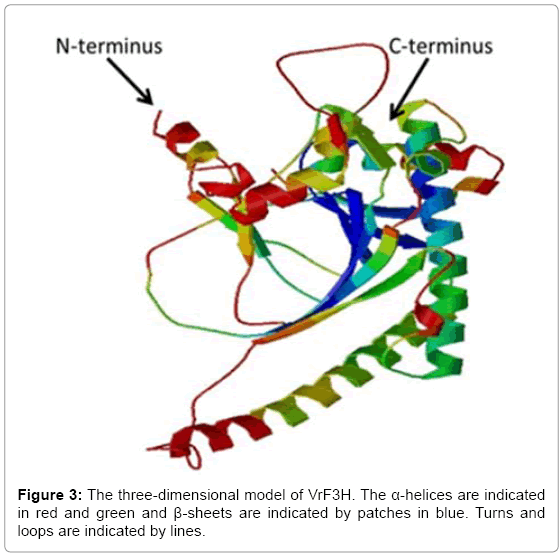 biotechnology-biomaterials-three-dimensional-model
