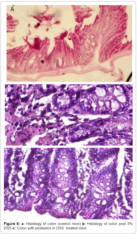 biotechnology-biomaterials-treated-mice