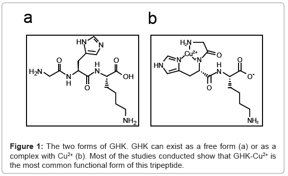 biotechnology-biomaterials-two-forms