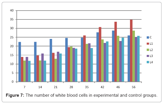 biotechnology-biomaterials-white-blood-cells