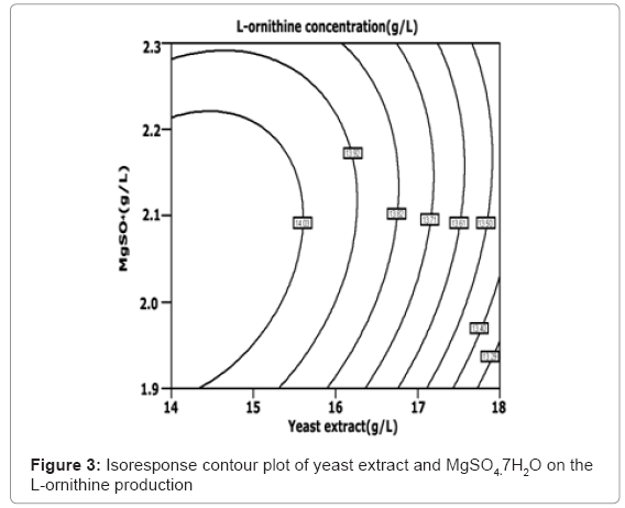 biotechnology-biomaterials-yeast-extract