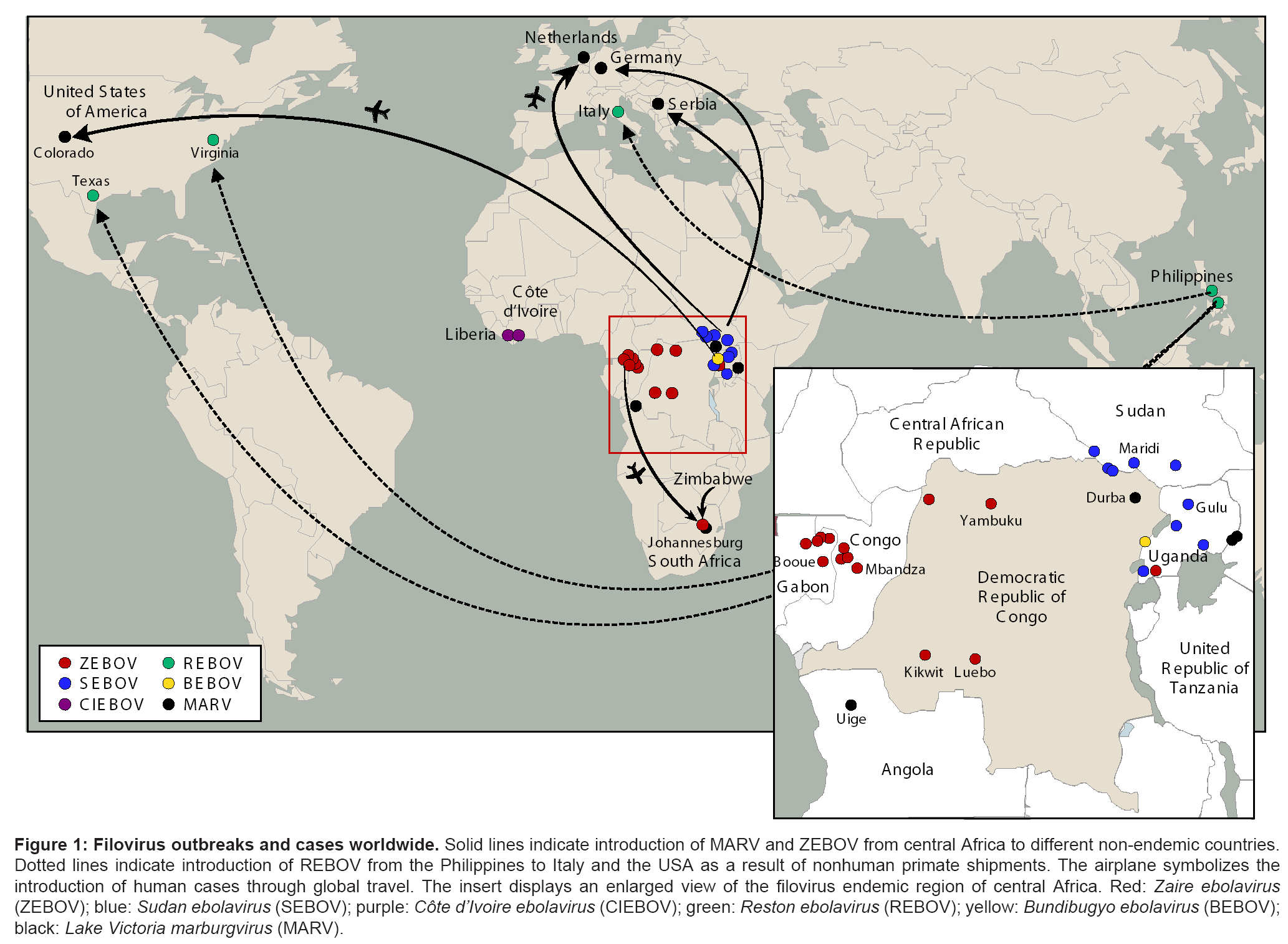 bioterrorism-biodefense-Filovirus