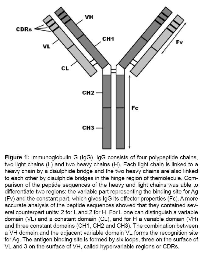 bioterrorism-biodefense-Immunoglobulin