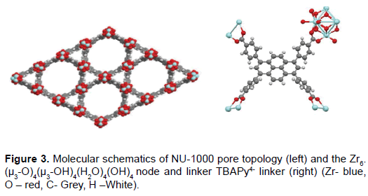 bioterrorism-biodefense-Molecular-pore-topology