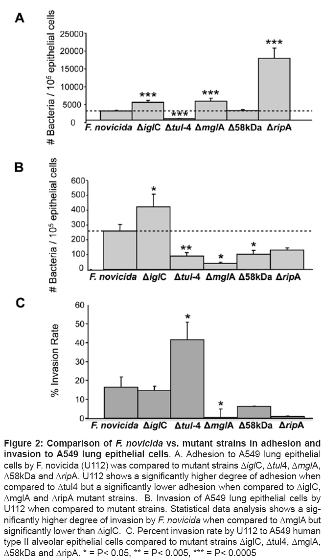 bioterrorism-biodefense-adhesion