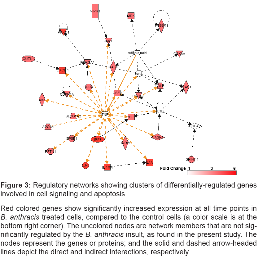 bioterrorism-biodefense-apoptosis