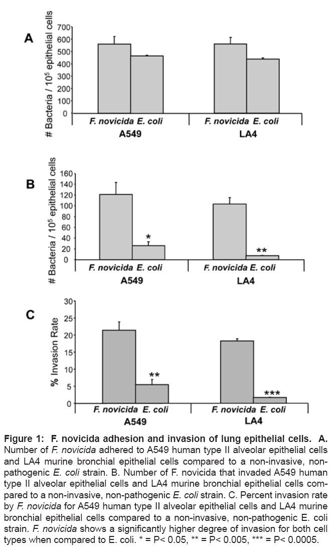 bioterrorism-biodefense-bronchial