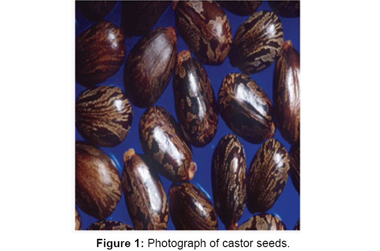 bioterrorism-biodefense-castorseeds