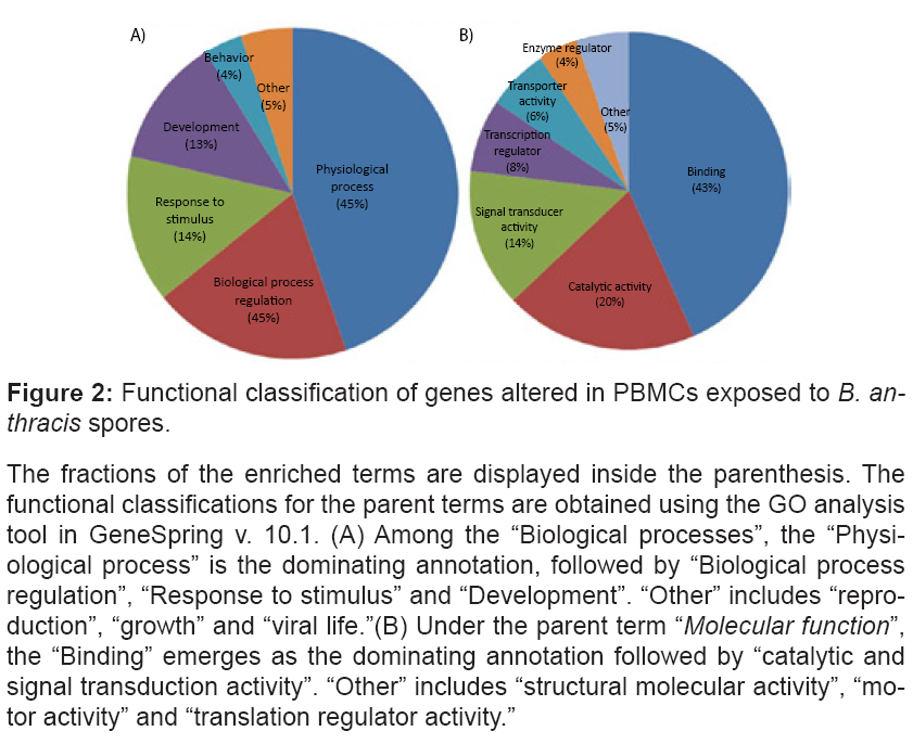 bioterrorism-biodefense-classification
