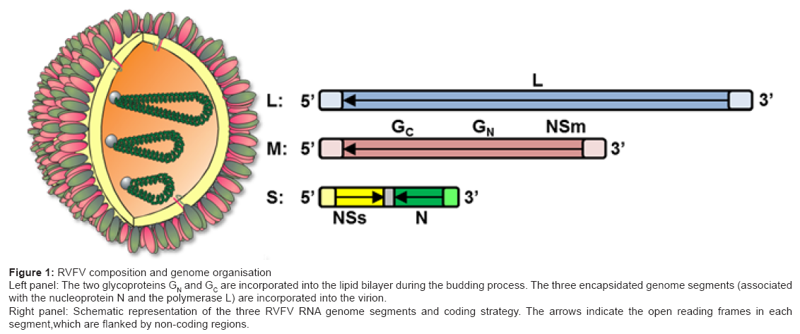 bioterrorism-biodefense-genome
