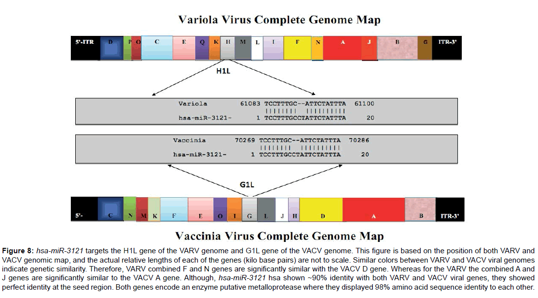 bioterrorism-biodefense-genome-colors-metalloprotease