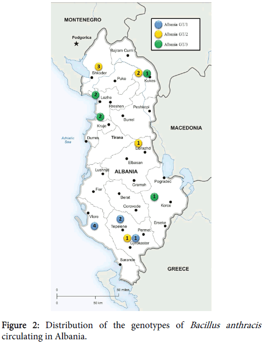 bioterrorism-biodefense-genotypes-circulating-albania