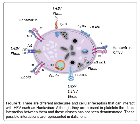 bioterrorism-biodefense-hantavirus