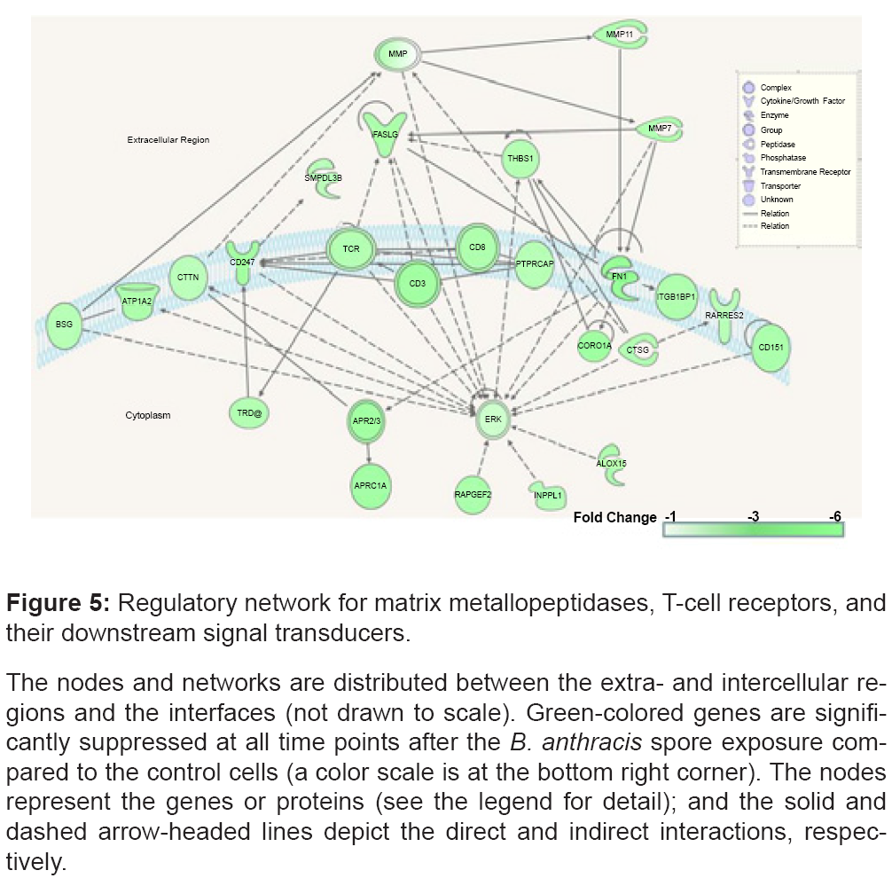 bioterrorism-biodefense-metallopeptidases