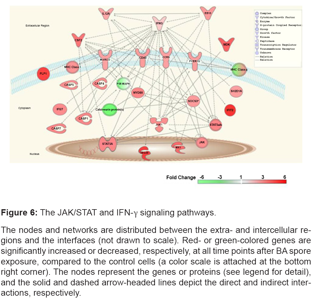 bioterrorism-biodefense-pathways