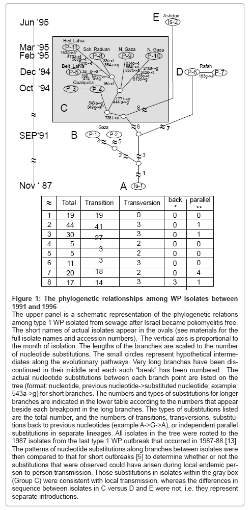 bioterrorism-biodefense-phylogenetic
