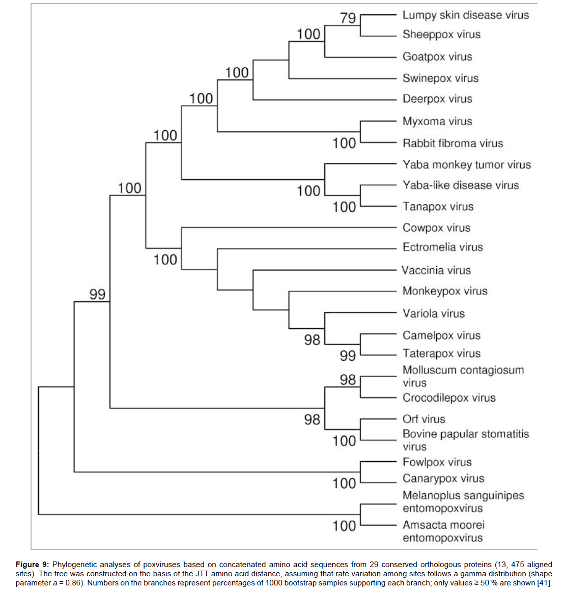 bioterrorism-biodefense-phylogenetic-poxviruses-amino
