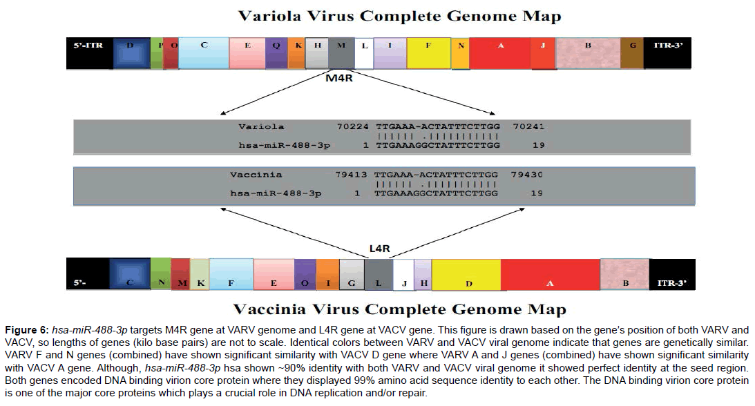 bioterrorism-biodefense-proteins-replication