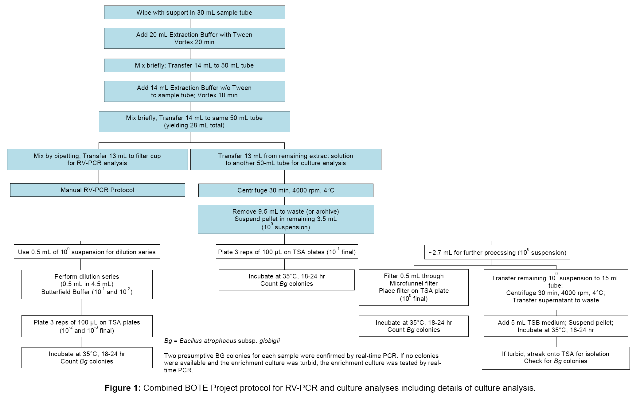 bioterrorism-biodefense-protocol