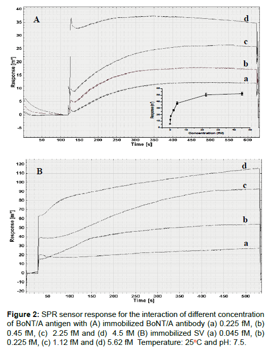 bioterrorism-biodefense-sensor-immobilized-antibody