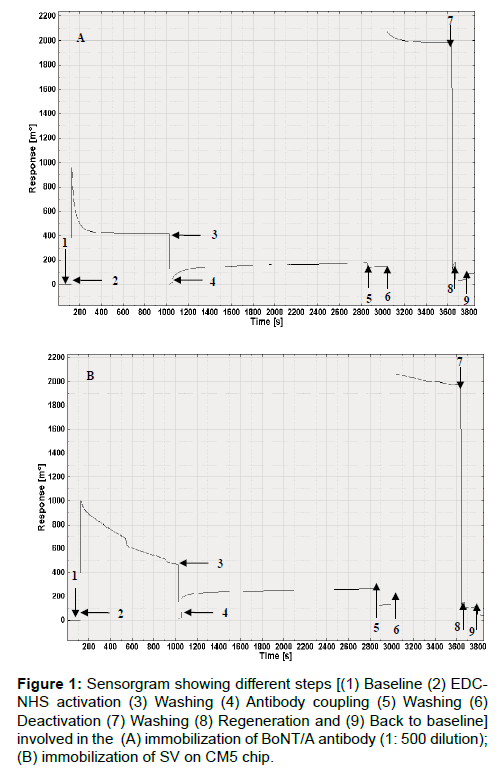 bioterrorism-biodefense-sensorgram-washing-coupling
