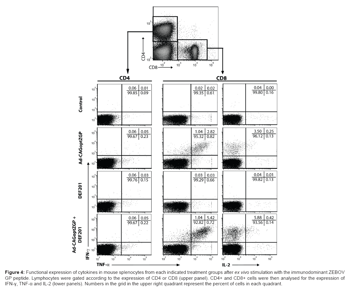 bioterrorism-biodefense-splenocytes