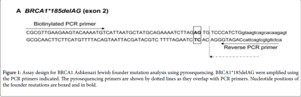 breast-cancer-Nucleotide-positions