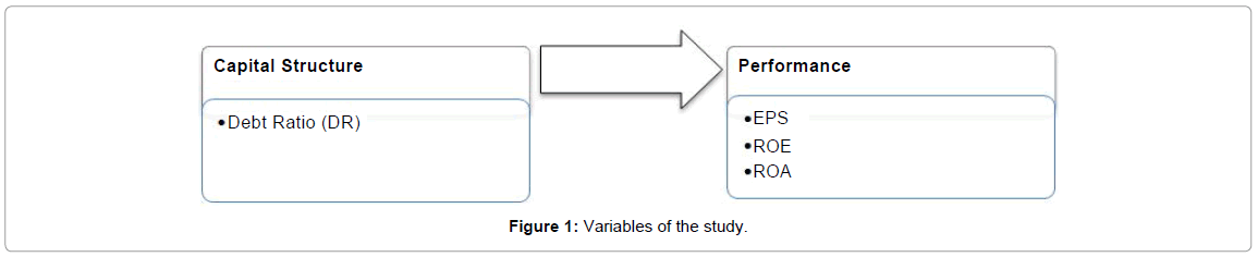 Capital structure firm performance dissertation