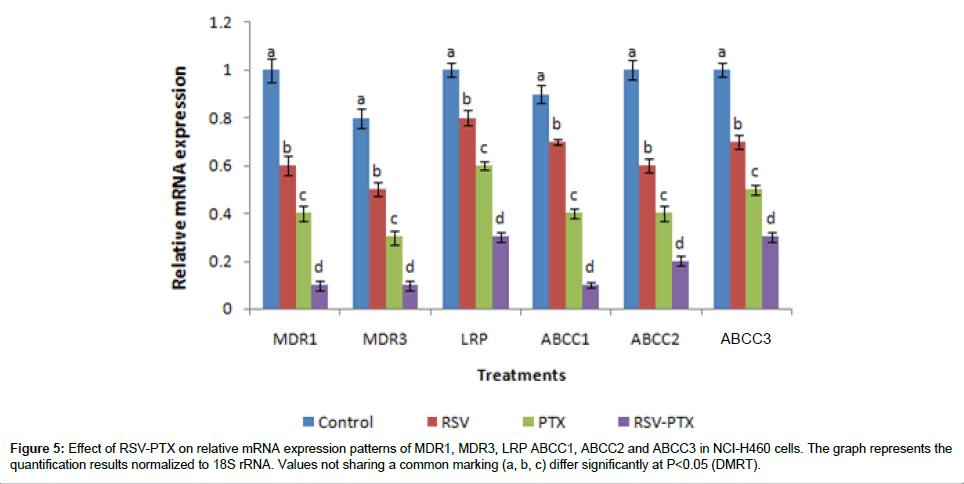 Resveratrol cancer chemotherapy study
