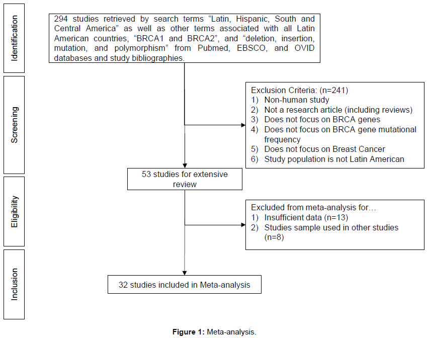 brca1 analysis and cancer breast brca2