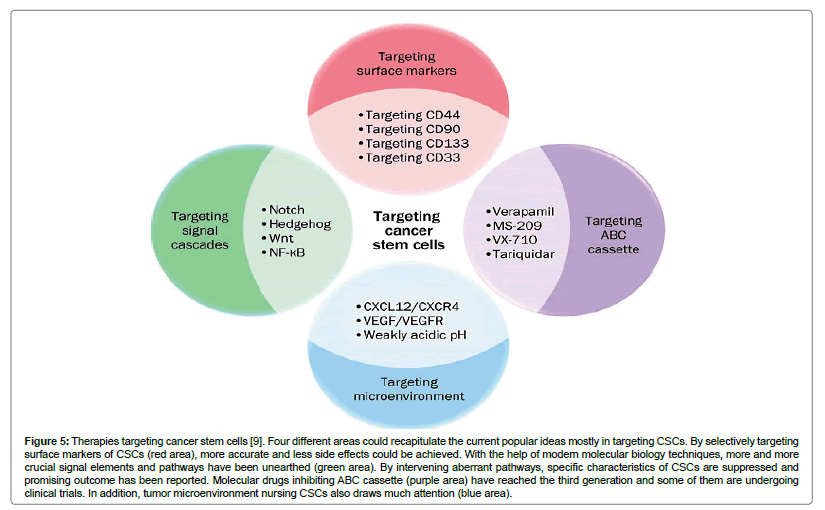 Therapies Biology Diagrams