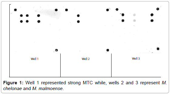 cellular-molecular-biology-Well-represented-strong