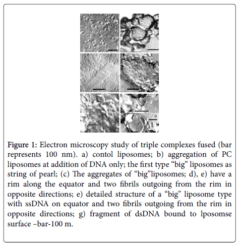chemical-biology-therapeutics-Electron-microscopy