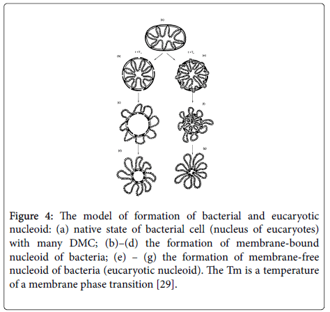 chemical-biology-therapeutics-model-formation